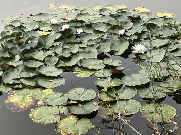 23-09-18 16-26-02 7059